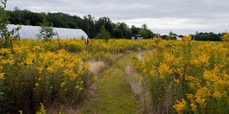 Camper submitted image from Heirloomista