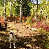 Review photo of Palisades Campground by Chelsea H., September 21, 2016