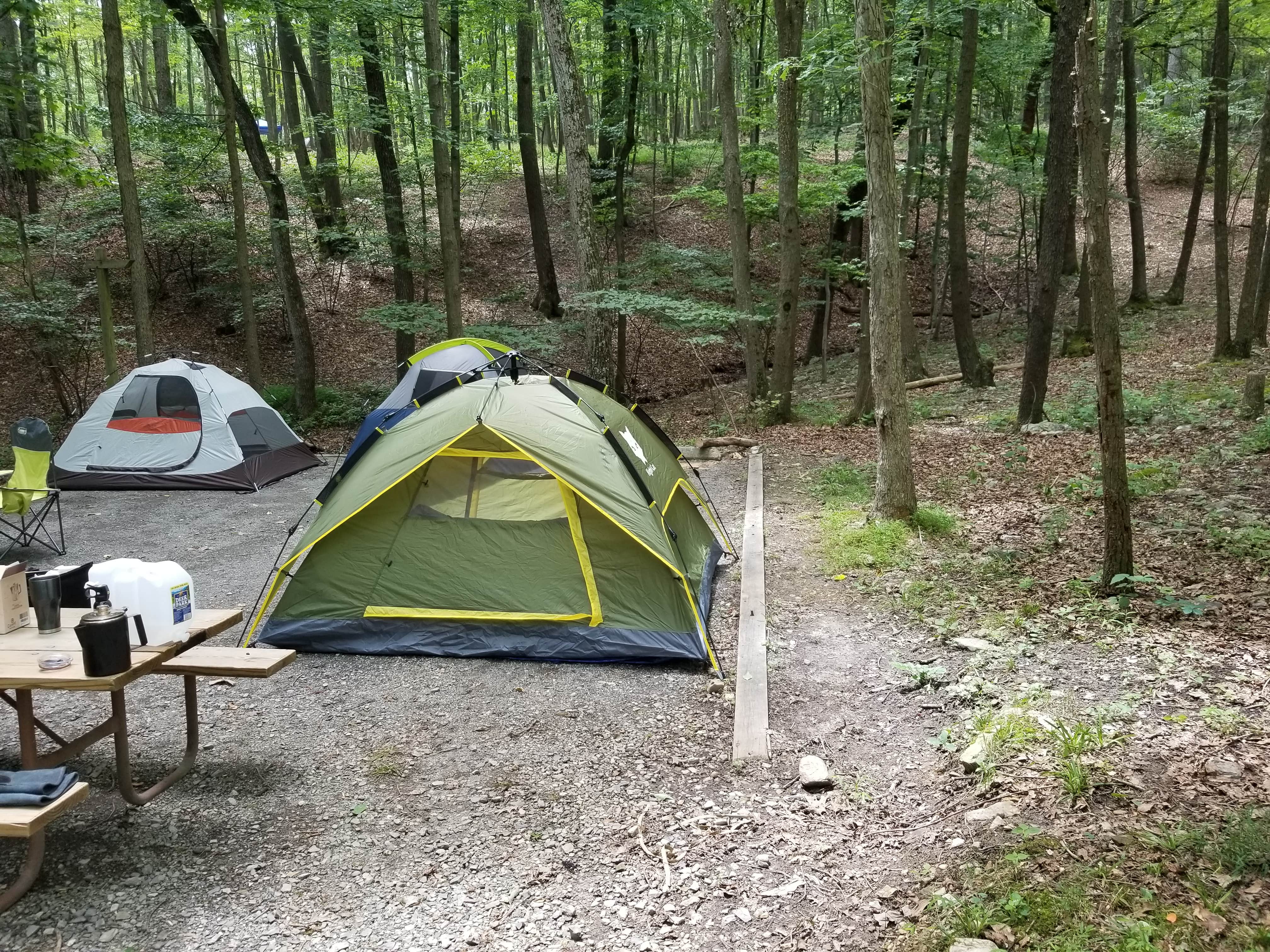 Chris F.'s photo at Rocky Gap State Park Campground near Frostburg, MD