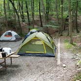 Review photo of Rocky Gap State Park Campground by Chris F., July 25, 2019