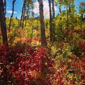 Review photo of Palisades Campground by Chelsea H., September 21, 2016