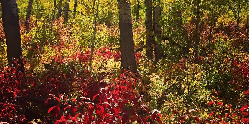 Camper submitted image from Palisades Campground