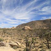 Review photo of Black Rock Campground — Joshua Tree National Park by Dani P., July 14, 2019