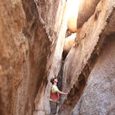 Review photo of Black Rock Campground — Joshua Tree National Park by Dani P., July 14, 2019