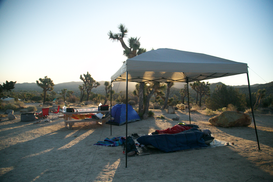 Dani P.'s photo at Black Rock Campground — Joshua Tree National Park near Pioneertown, CA