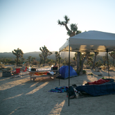 Review photo of Black Rock Campground — Joshua Tree National Park by Dani P., July 14, 2019