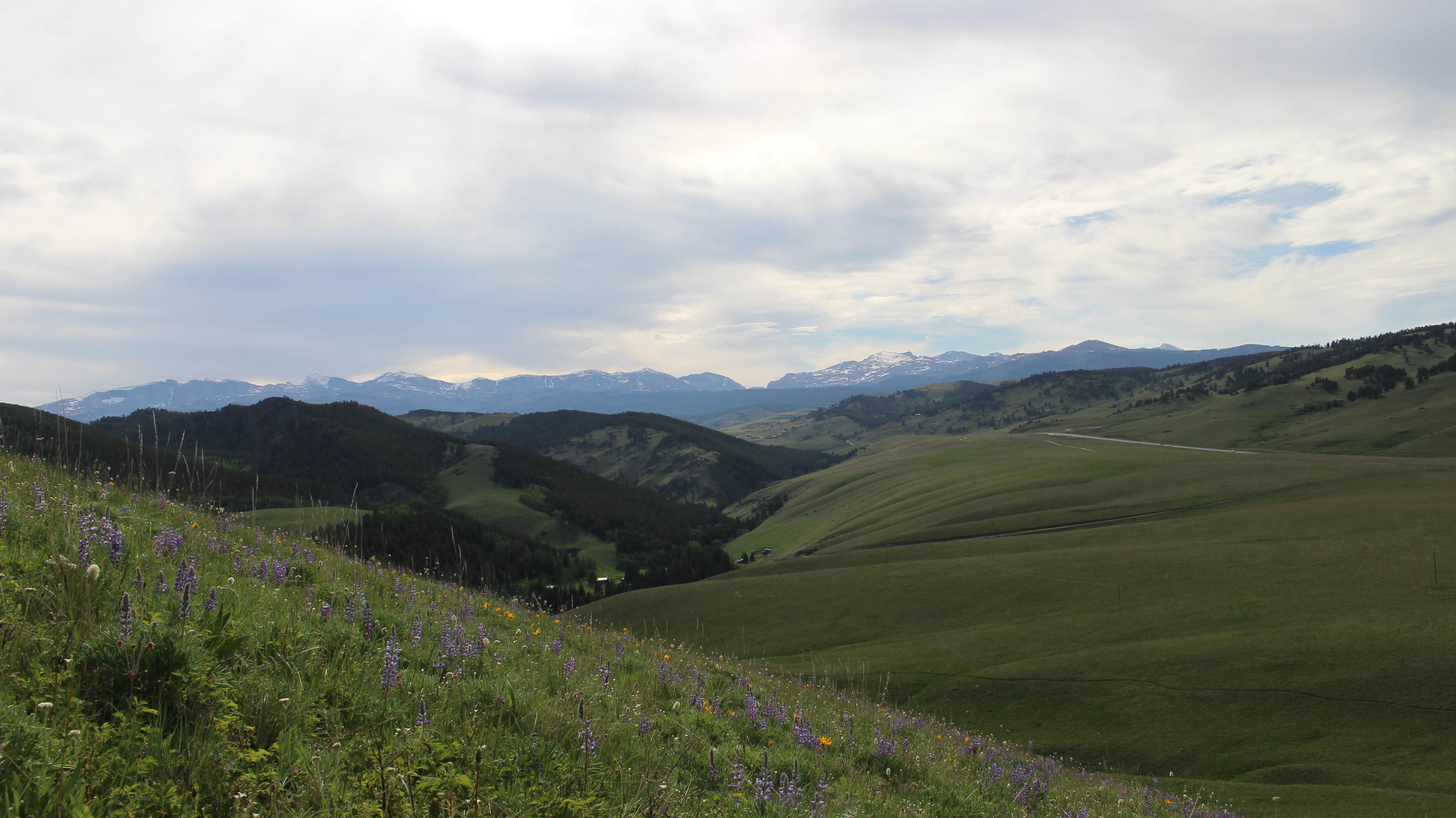 Camper submitted image from South Fork (wyoming) - 2