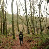 Review photo of Burlington Campground — Humboldt Redwoods State Park by Dani P., July 25, 2019