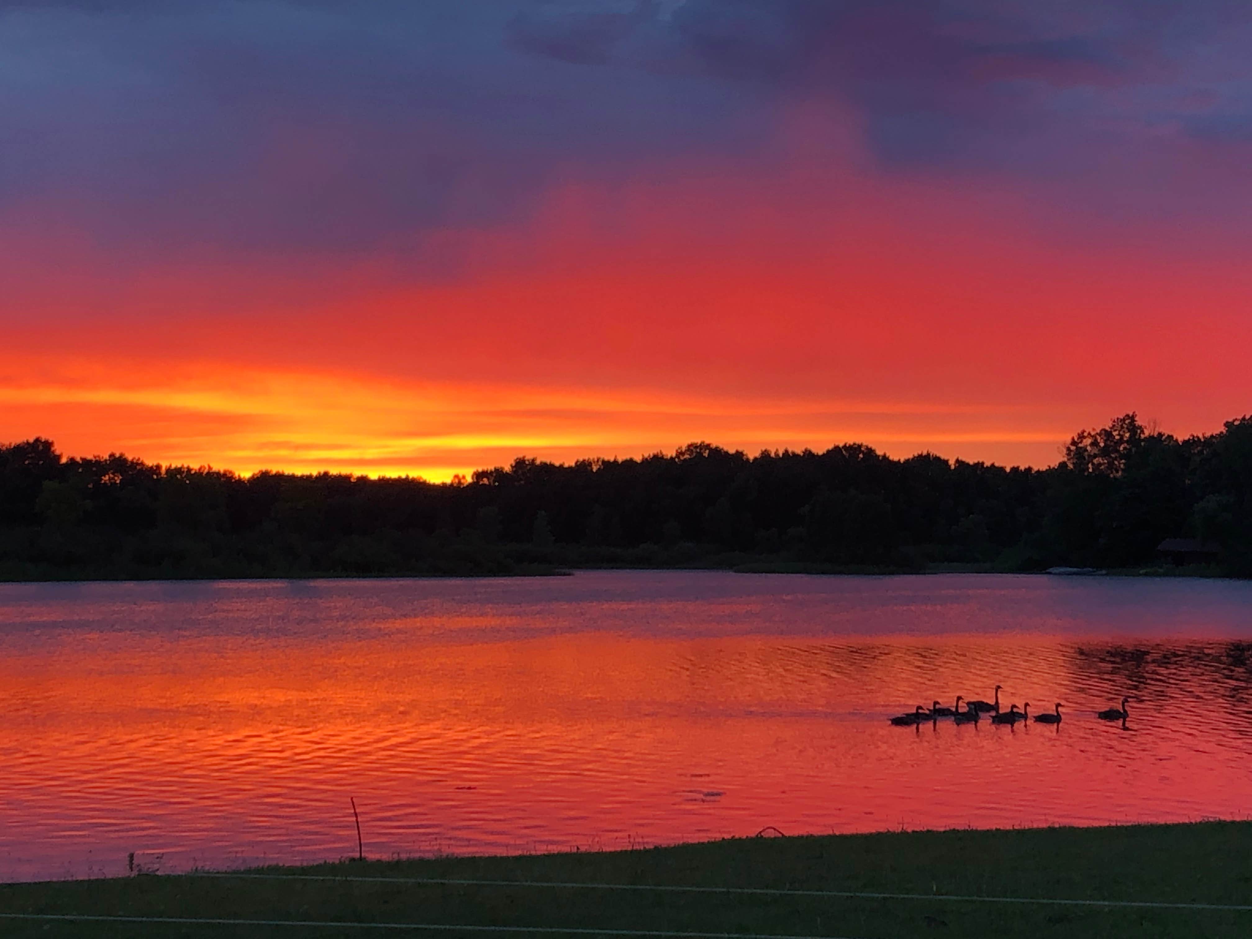 Camper-submitted photo at Hide Away Park Campground near Cohoctah, MI
