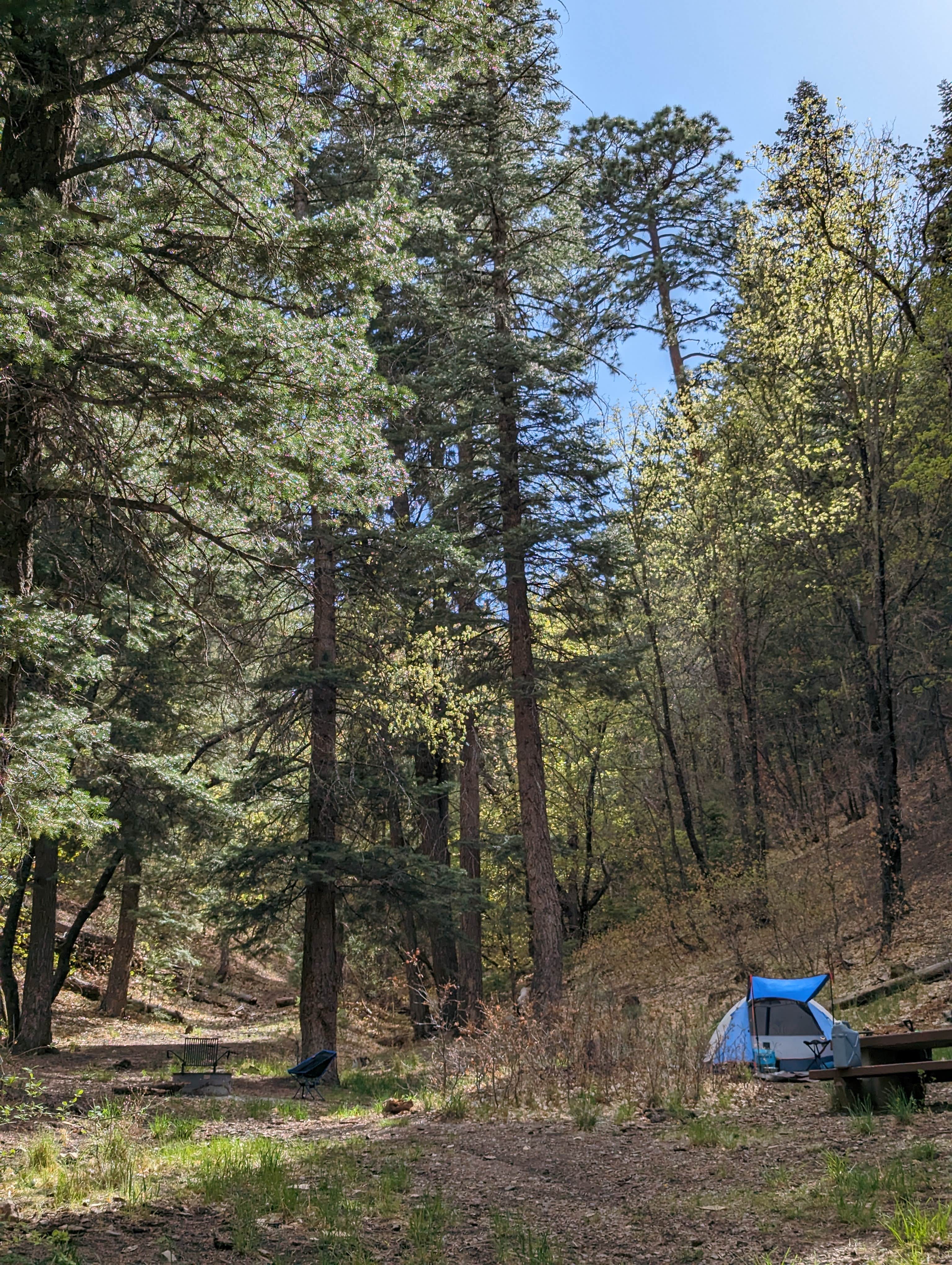 Camper-submitted photo at Lower Karr Canyon Campground near Timberon, NM