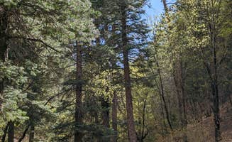 Jorge G.'s photo at Lower Karr Canyon Campground near Tularosa, NM