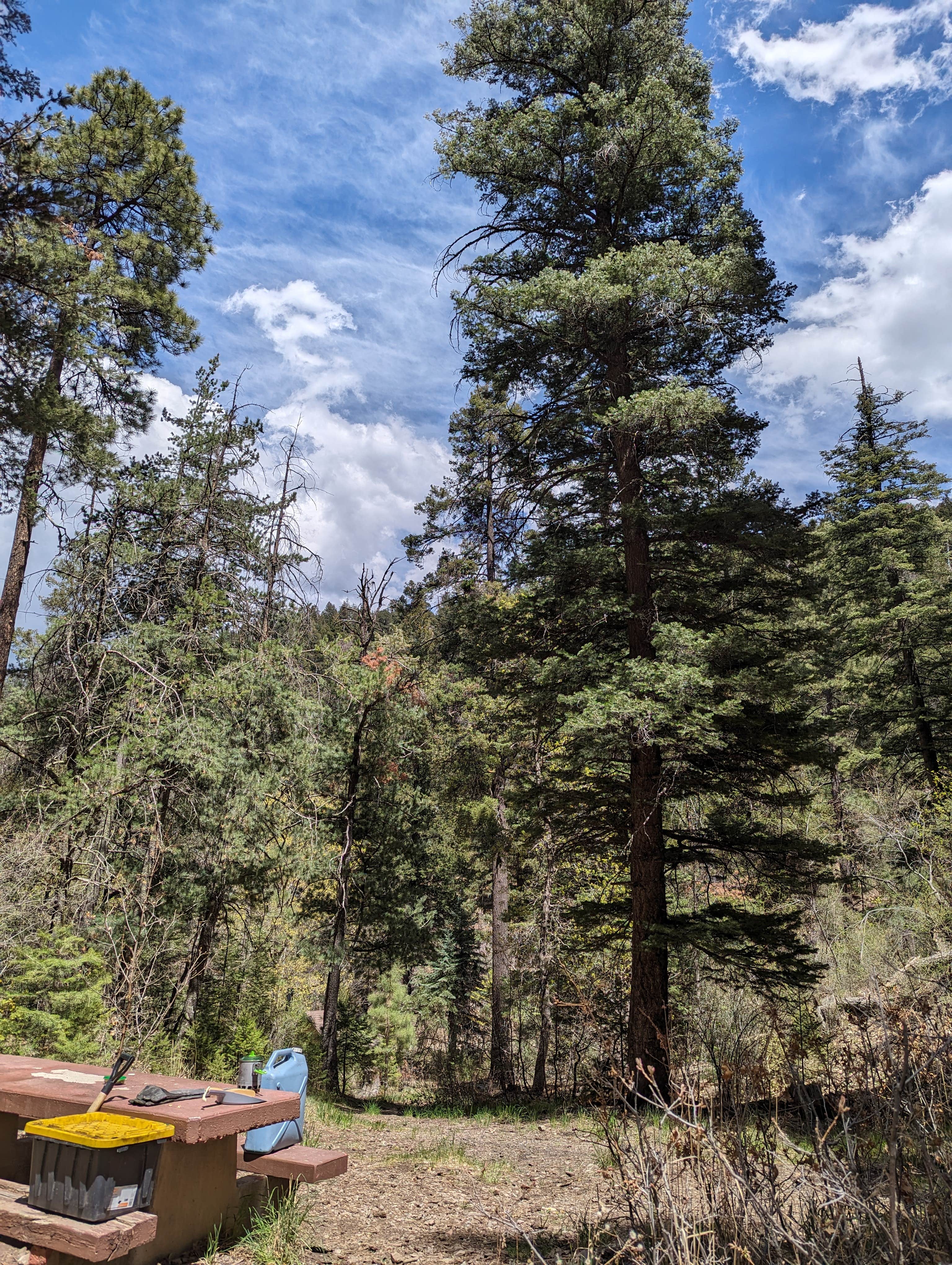 Camper-submitted photo at Lower Karr Canyon Campground near Timberon, NM