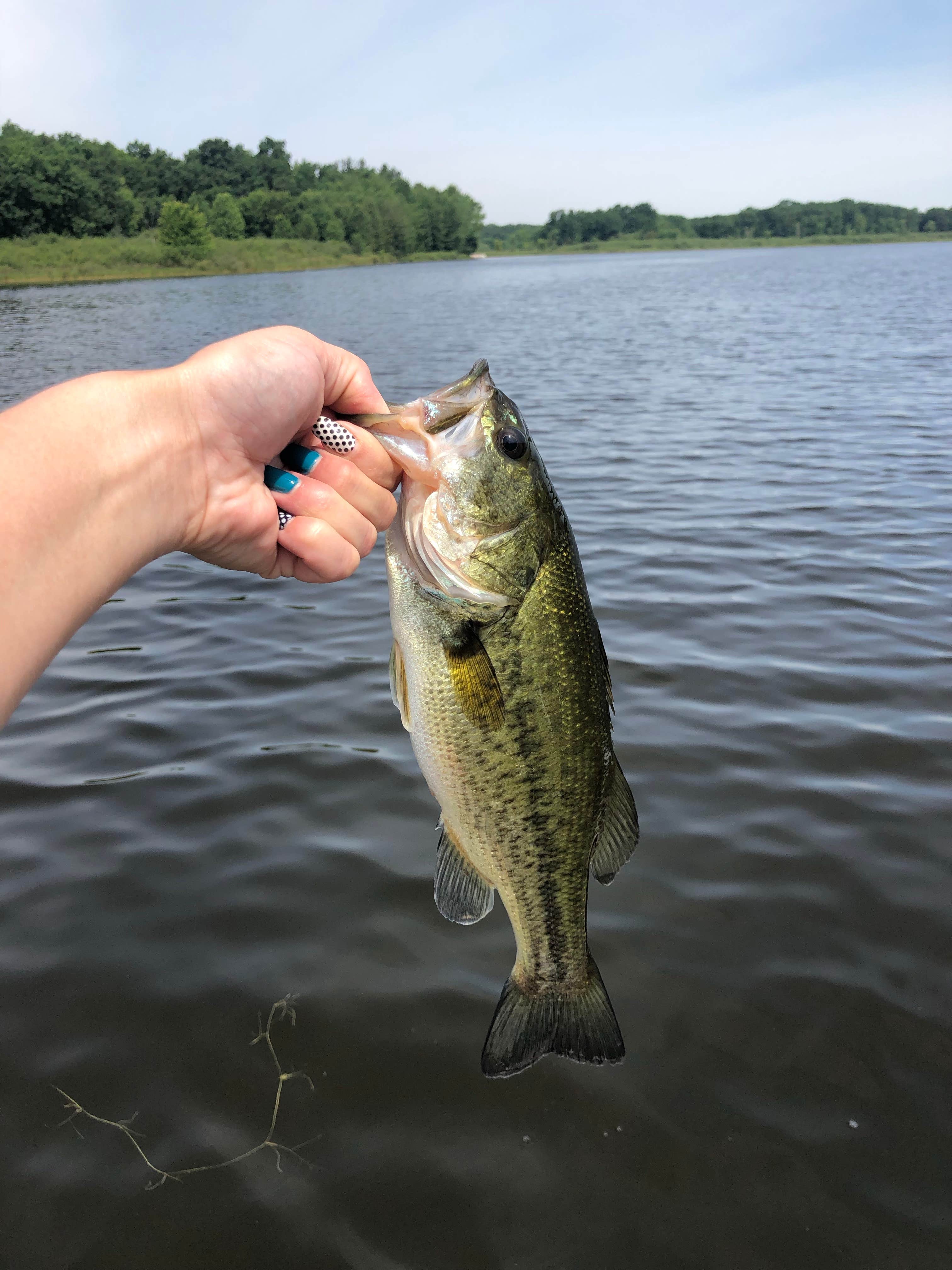 Camper-submitted photo at Hide Away Park Campground near Cohoctah, MI