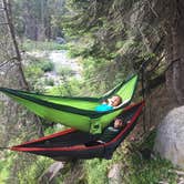 Review photo of Lodgepole Campground — Sequoia National Park by Karli N., July 25, 2019