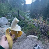 Review photo of Lodgepole Campground — Sequoia National Park by Karli N., July 25, 2019