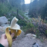 Review photo of Lodgepole Campground — Sequoia National Park by Karli N., July 25, 2019