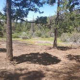 Review photo of Musick Creek Falls by jesse H., May 28, 2025