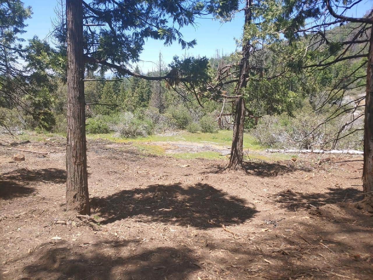 Camper submitted image from Musick Creek Falls - 4