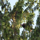 Review photo of West Branch State Park Campground by Alisa G., July 25, 2019
