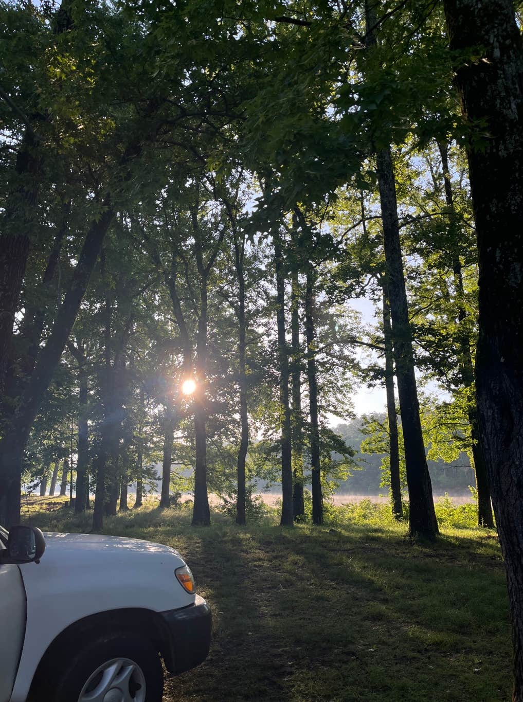 Camper-submitted photo at Irons Fork near Royal, AR