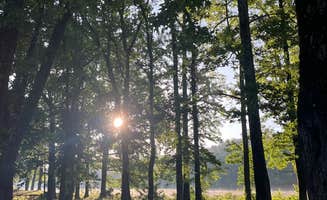 aida R.'s photo of a dispersed camping area at Irons Fork in Arkansas