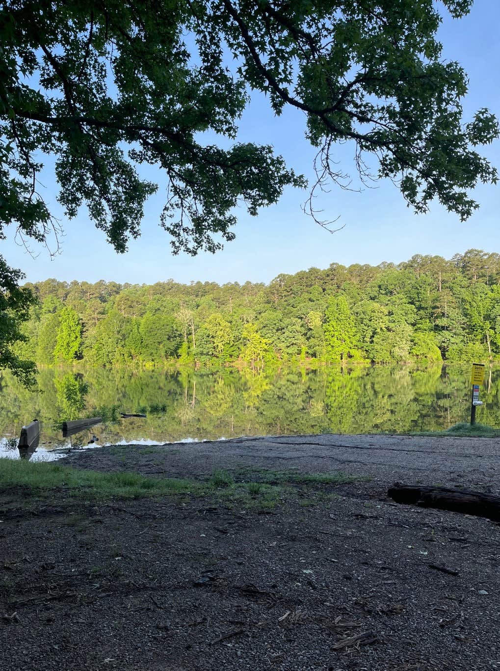 Camper submitted image from Irons Fork - 4