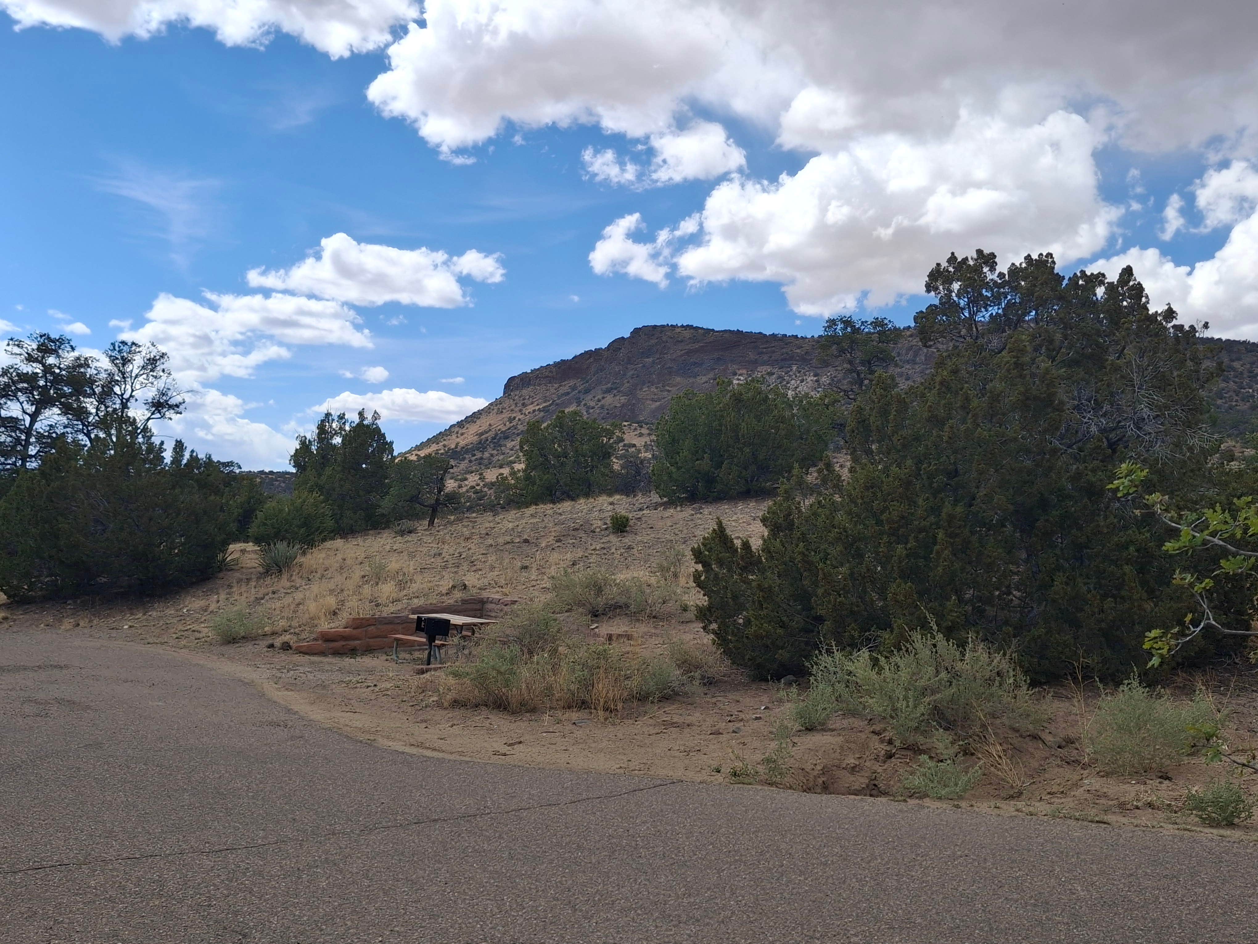 Camper submitted image from Coal Mine Campground - 5