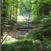 Review photo of West Branch State Park Campground by Alisa G., July 25, 2019