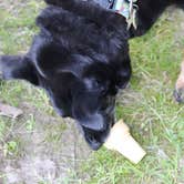 Review photo of West Branch State Park Campground by Alisa G., July 25, 2019