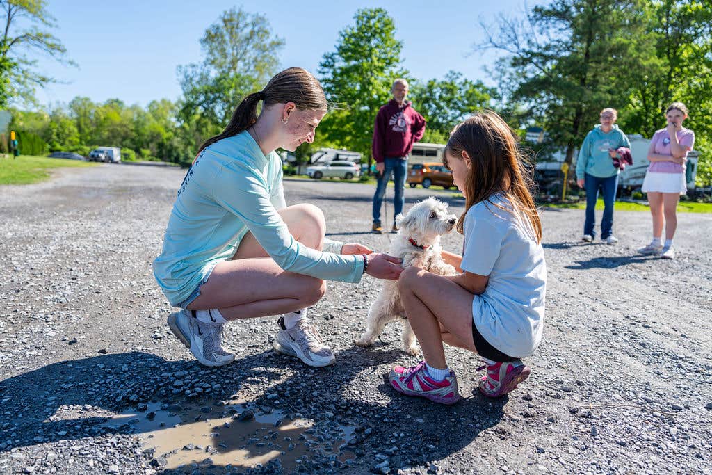 Camper-submitted photo at Jonestown/Hershey KOA near Mount Carmel, PA