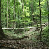 Review photo of West Branch State Park Campground by Alisa G., July 25, 2019