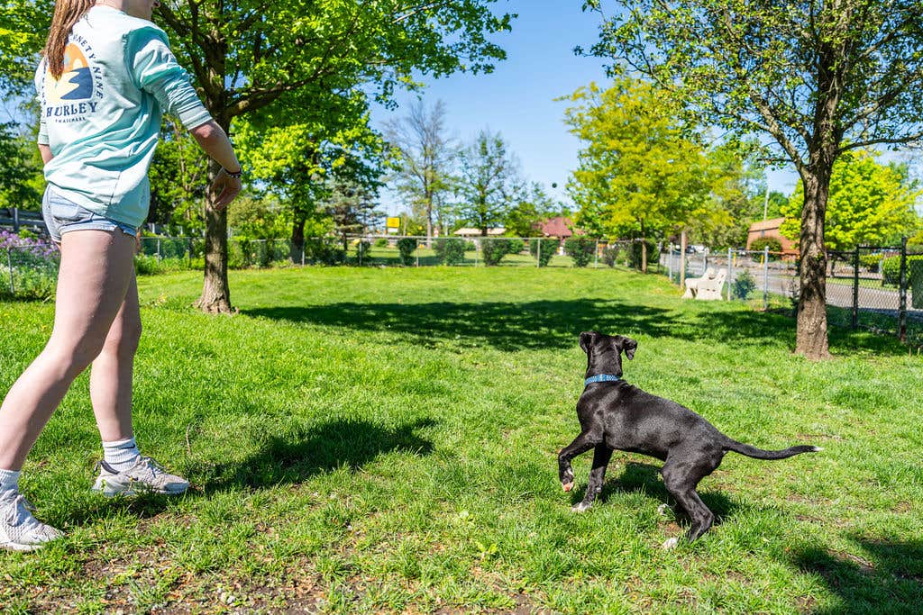Horizon M.'s photo of camping with pets at Jonestown/Hershey KOA near Harrisburg, PA