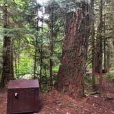 Review photo of Colonial Creek South Campground — Ross Lake National Recreation Area by Tom K., July 25, 2019