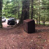 Review photo of Colonial Creek South Campground — Ross Lake National Recreation Area by Tom K., July 25, 2019