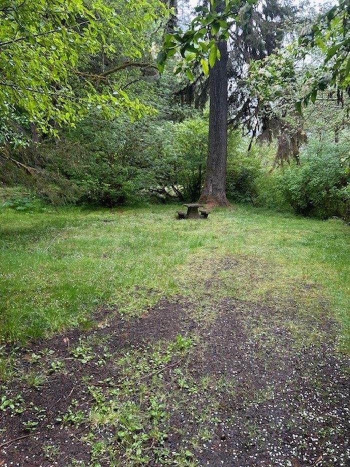 Camper submitted image from Rocky Bend Group Campground - 2
