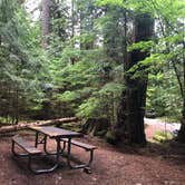 Review photo of Colonial Creek South Campground — Ross Lake National Recreation Area by Tom K., July 25, 2019