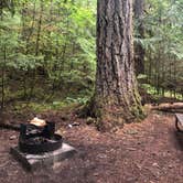 Review photo of Colonial Creek South Campground — Ross Lake National Recreation Area by Tom K., July 25, 2019