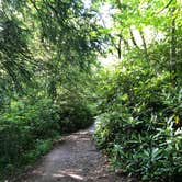 Review photo of Hickory Run State Park Campground by Shirley M., July 23, 2019