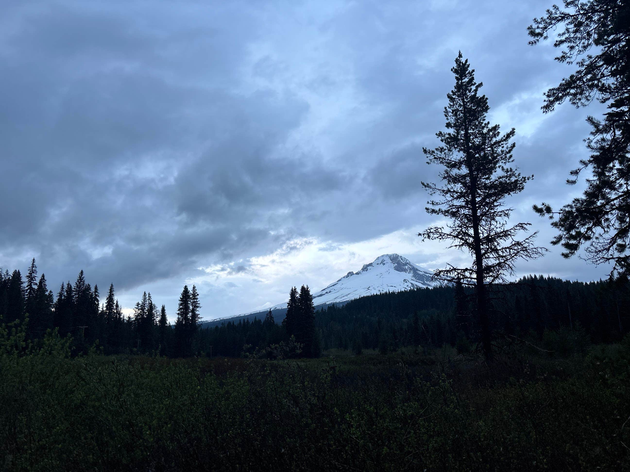 Camper submitted image from Trillium Lake Airstrip Dispersed - 2
