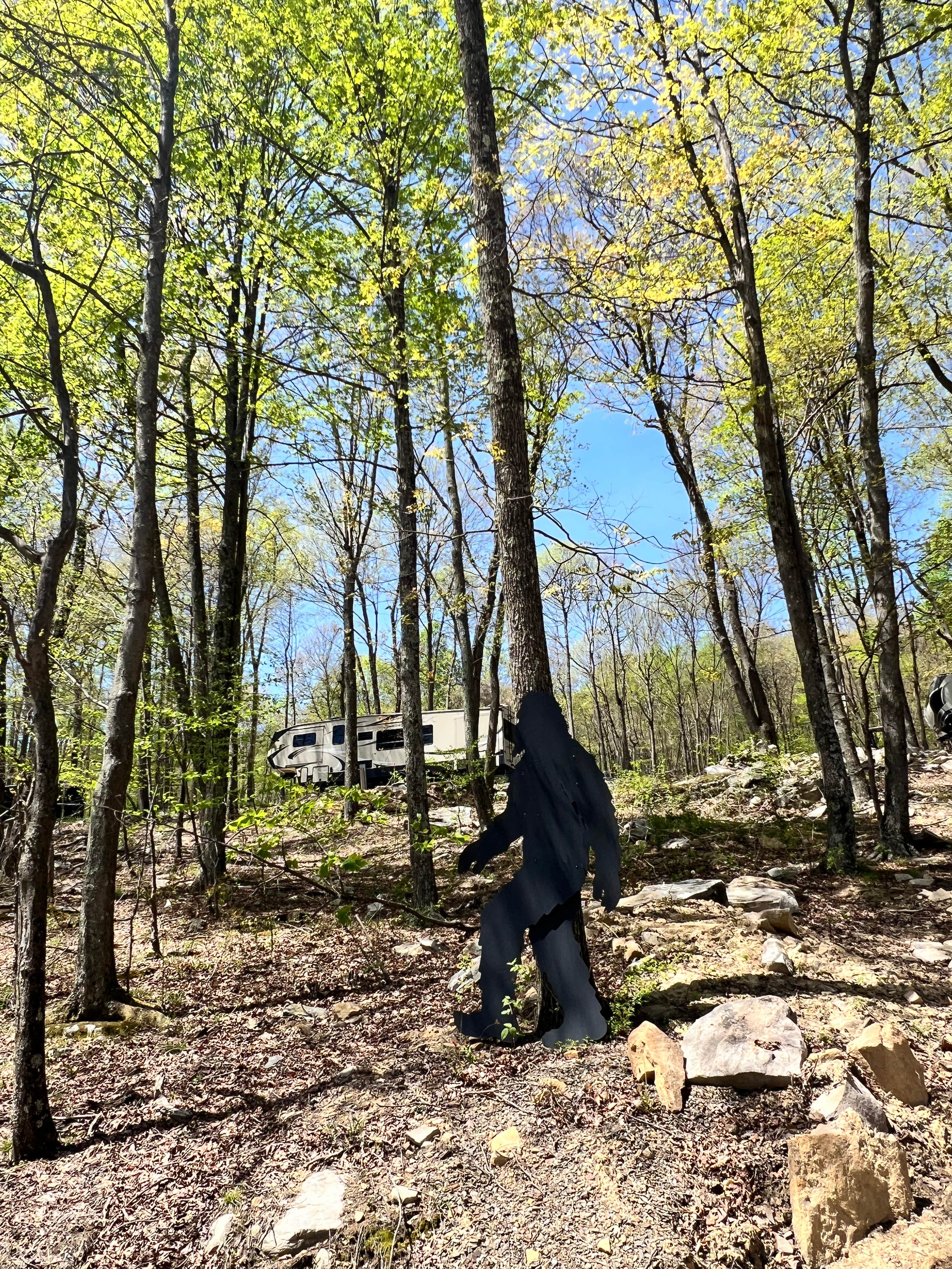 Camper-submitted photo at Timber Run Campground near Saxton, PA