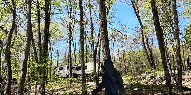 Camper submitted image from Timber Run Campground