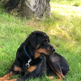 Review photo of Hickory Run State Park Campground by Shirley M., July 23, 2019