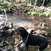 Review photo of Hickory Run State Park Campground by Shirley M., July 23, 2019