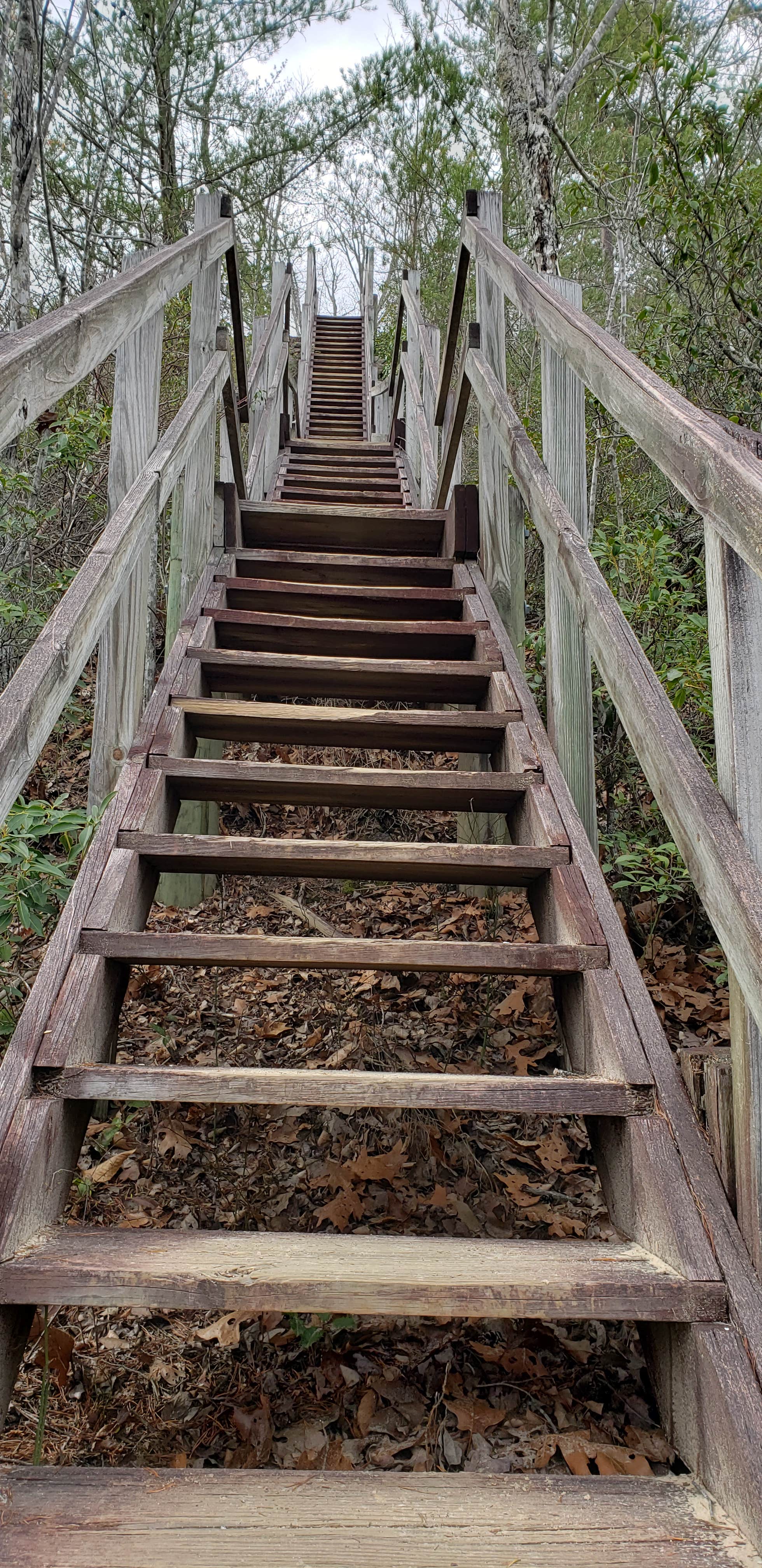 Camper-submitted photo at Backcountry Camping near Big South Fork National River and Recreation Area