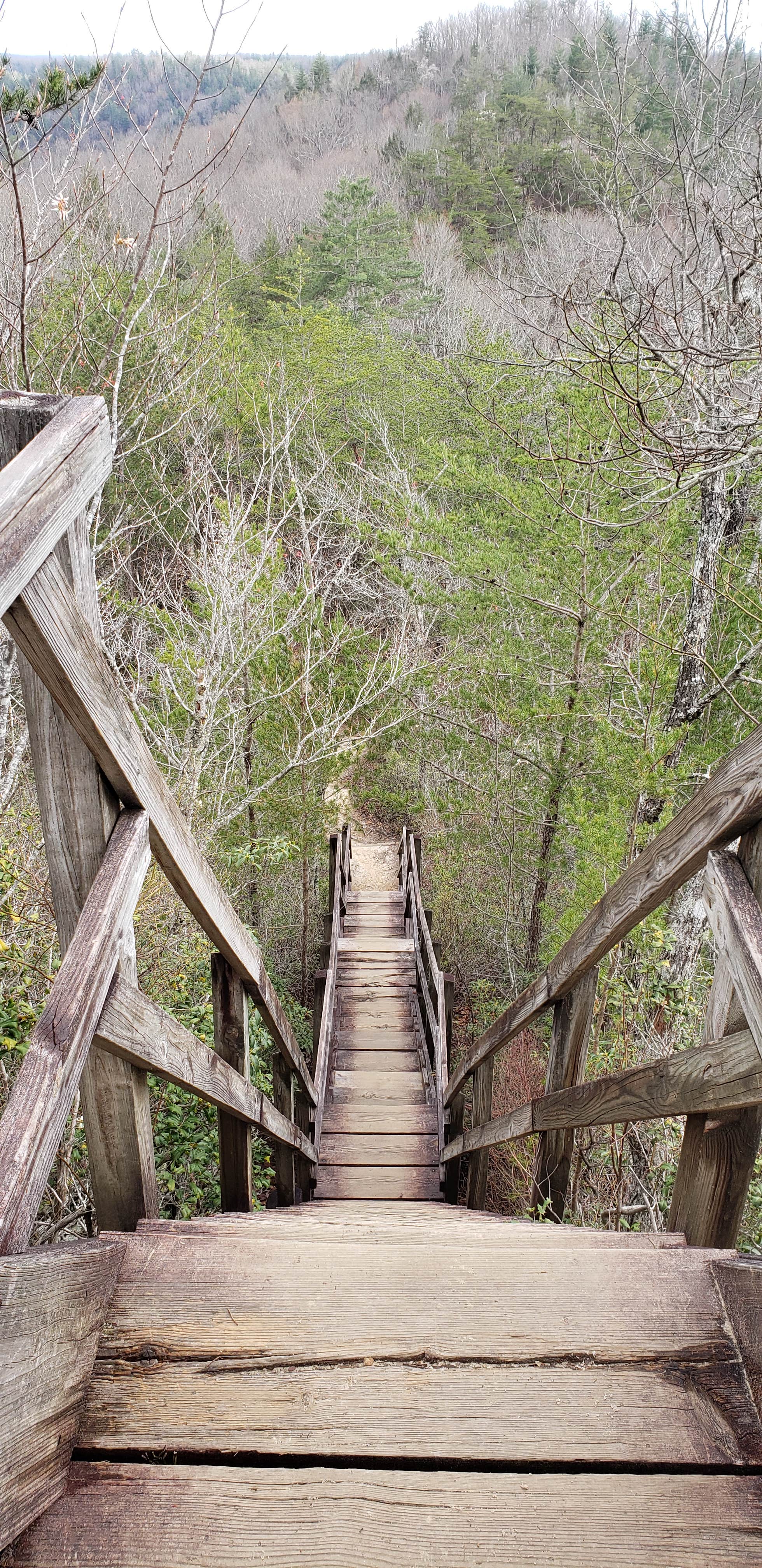 Camper-submitted photo at Backcountry Camping near Big South Fork National River and Recreation Area