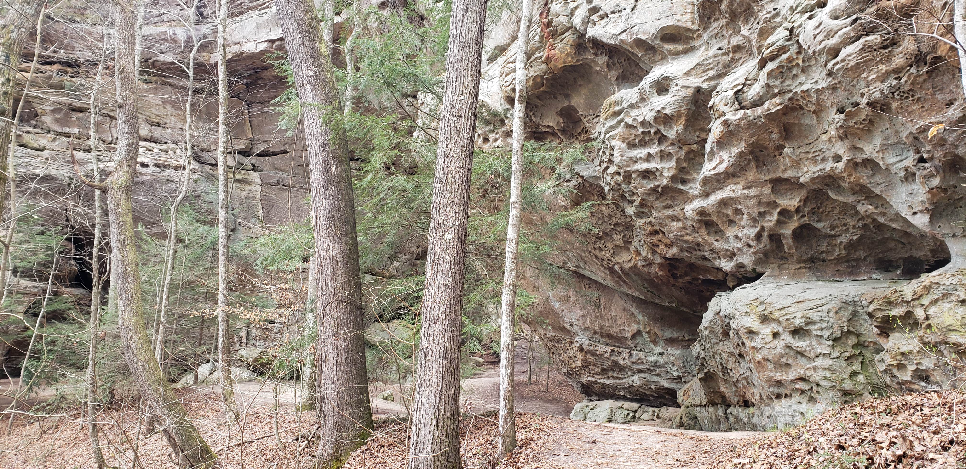 Camper-submitted photo at Backcountry Camping near Big South Fork National River and Recreation Area