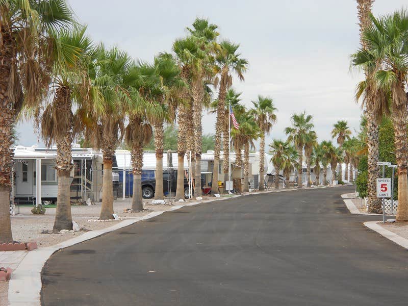 Camper-submitted photo at Holiday Palms RV Resort near Parker, AZ