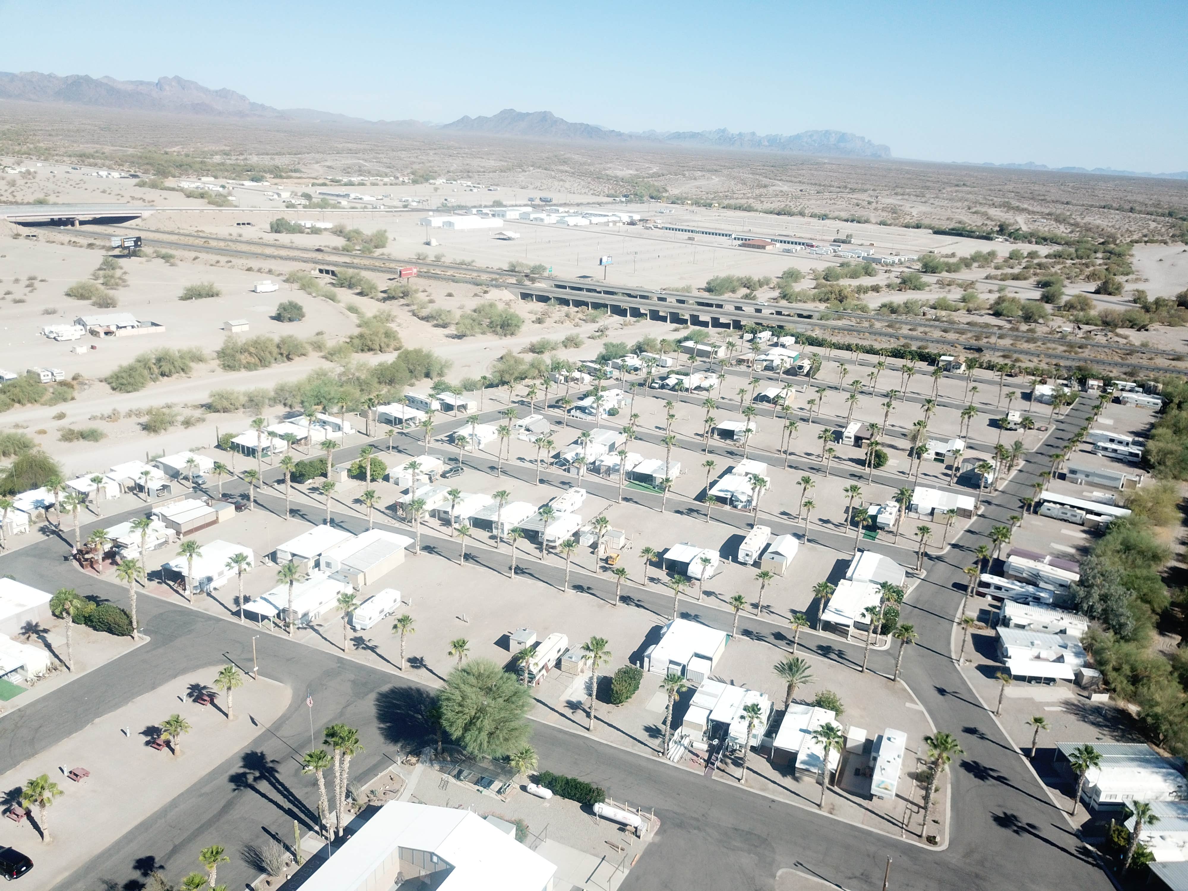 Camper-submitted photo at Holiday Palms RV Resort near Parker, AZ