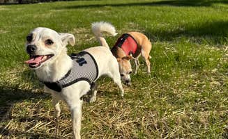 Pierced Oak's photo of camping with pets at Pierced Oak RV Park near Canyon Lake, TX