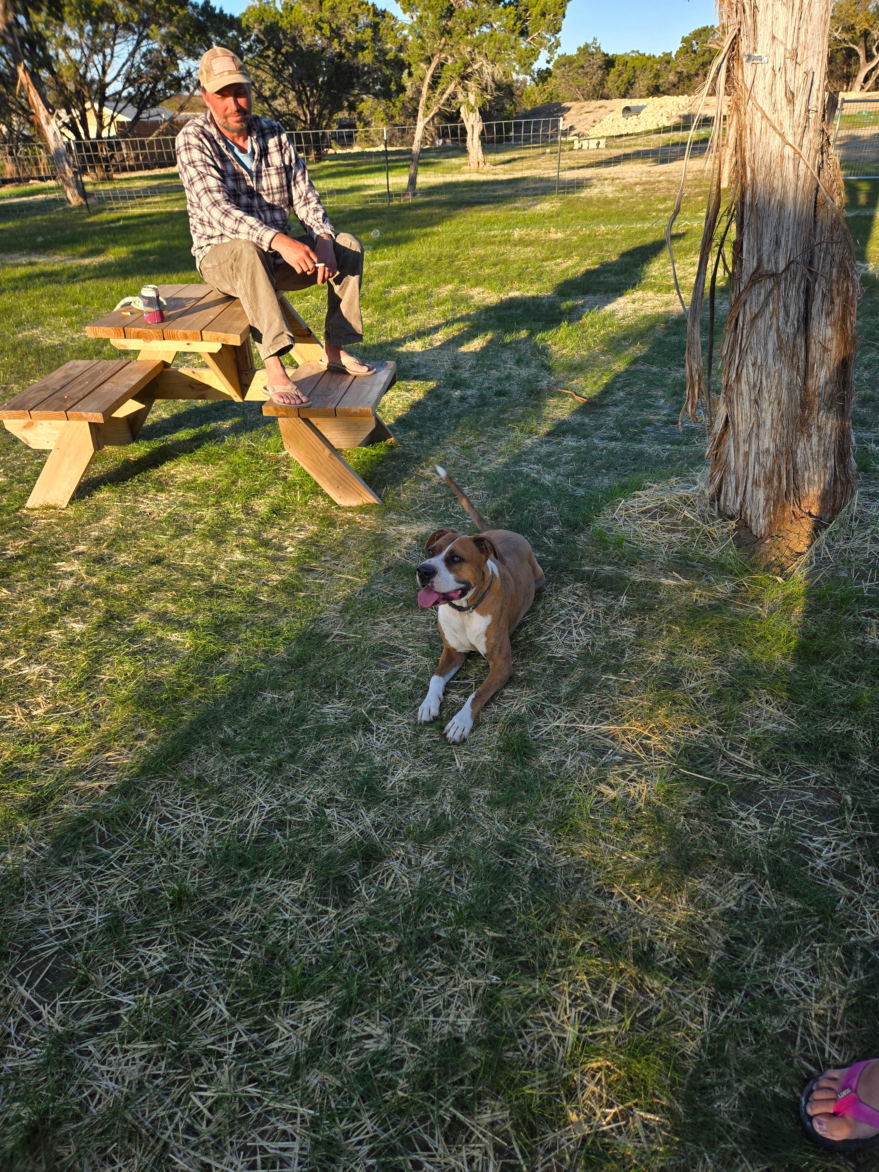 Pierced Oak's photo of camping with pets at Pierced Oak RV Park near Bulverde, TX